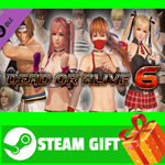 **ВСЕ СТРАНЫ+РОССИЯ** DOA6 Deluxe Costume Set STEAM