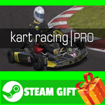 **ВСЕ СТРАНЫ+РОССИЯ** Kart Racing Pro Steam Gift