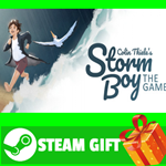 **ВСЕ СТРАНЫ+РОССИЯ** Storm Boy STEAM GIFT