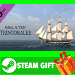 **ВСЕ СТРАНЫ+РОССИЯ** Naval Action - Trincomalee STEAM