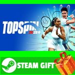 **ВСЕ СТРАНЫ+РОССИЯ** TopSpin 2K25 Deluxe Edition STEAM