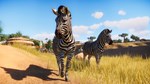 * Planet Zoo Steam АККАУНТ НОВЫЙ +ПОЧТА*