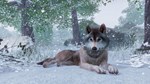 * Planet Zoo Steam АККАУНТ НОВЫЙ +ПОЧТА*