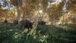 * theHunter: Call of the Wild Steam АККАУНТ +ПОЧТА*