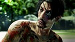 * Like a Dragon: Pirate Yakuza in Hawaii Steam АККАУНТ