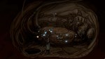 * Primordia Steam КЛЮЧ * GLOBAL