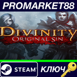 * Divinity: Original Sin - Source Hunter DLC Steam КЛЮЧ