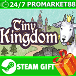 **ВСЕ СТРАНЫ+РОССИЯ** Tiny Kingdom STEAM GIFT