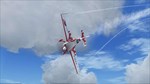 * Microsoft Flight Simulator X: Steam Edition - Skychas