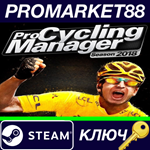 * Pro Cycling Manager 2018 Steam КЛЮЧ * GLOBAL