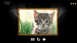 *Kitty Cat: Jigsaw Puzzles Steam КЛЮЧ *GLOBAL