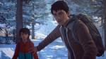 * Life is Strange 2 - Episodes 2-5 bundle DLC Steam КЛЮ