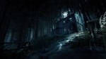 * Blair Witch Steam КЛЮЧ * GLOBAL