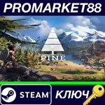 * Pine Steam КЛЮЧ * GLOBAL