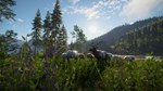 * theHunter: Call of the Wild - Silver Ridge Peaks DLC