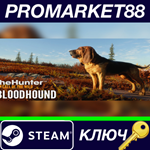 * theHunter: Call of the Wild - Bloodhound DLC Steam КЛ