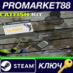 * Professional Fishing - Catfish Kit DLC Steam КЛЮЧ