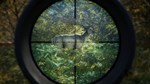 * theHunter: Call of the Wild - 2022 Edition Steam КЛЮЧ