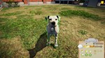 * Animal Shelter Steam КЛЮЧ * GLOBAL