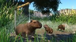 * Planet Zoo - Wetlands Animal Pack DLC Steam КЛЮЧ