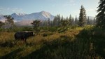 * theHunter: Call of the Wild Diamond Bundle Steam КЛЮЧ