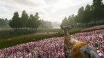 * Deer Journey Steam КЛЮЧ * GLOBAL