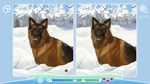 * Cute Dogs Steam КЛЮЧ * GLOBAL