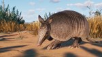 * Planet Zoo - Grasslands Animal Pack DLC Steam КЛЮЧ