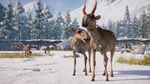 * Planet Zoo - Eurasia Animal Pack DLC EU Steam КЛЮЧ