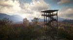 *theHunter: Call of the Wild USA Steam КЛЮЧ *АРГЕНТИНА