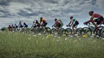 * Tour de France 2024 Steam КЛЮЧ * GLOBAL