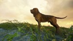 * theHunter: Call of the Wild - Bloodhound DLC EU Steam