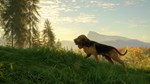 * theHunter: Call of the Wild - Bloodhound DLC EU Steam