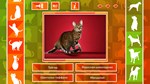 * JQ: dogs & cats Steam КЛЮЧ * GLOBAL