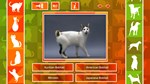 * JQ: dogs & cats Steam КЛЮЧ * GLOBAL