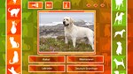 * JQ: dogs & cats Steam КЛЮЧ * GLOBAL