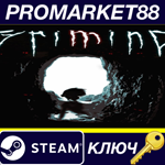 * Grimind Steam КЛЮЧ * GLOBAL