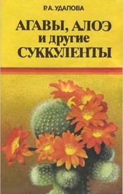 Агавы, алоэ и другие суккуленты + БОНУС