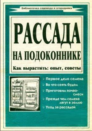 Рассада на подоконнике + БОНУС