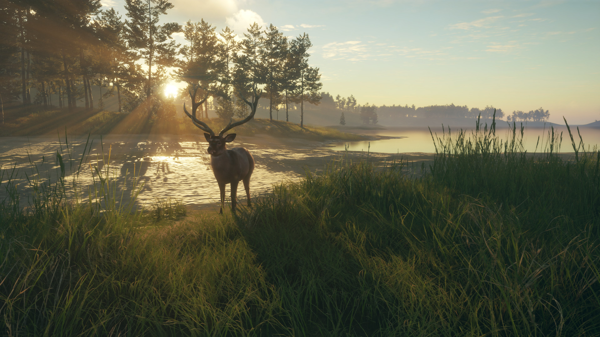 трейнер для the hunter call of the wild no steam фото 64