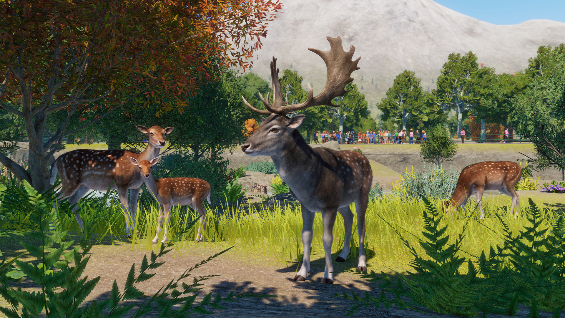 Planet zoo steam key фото 75