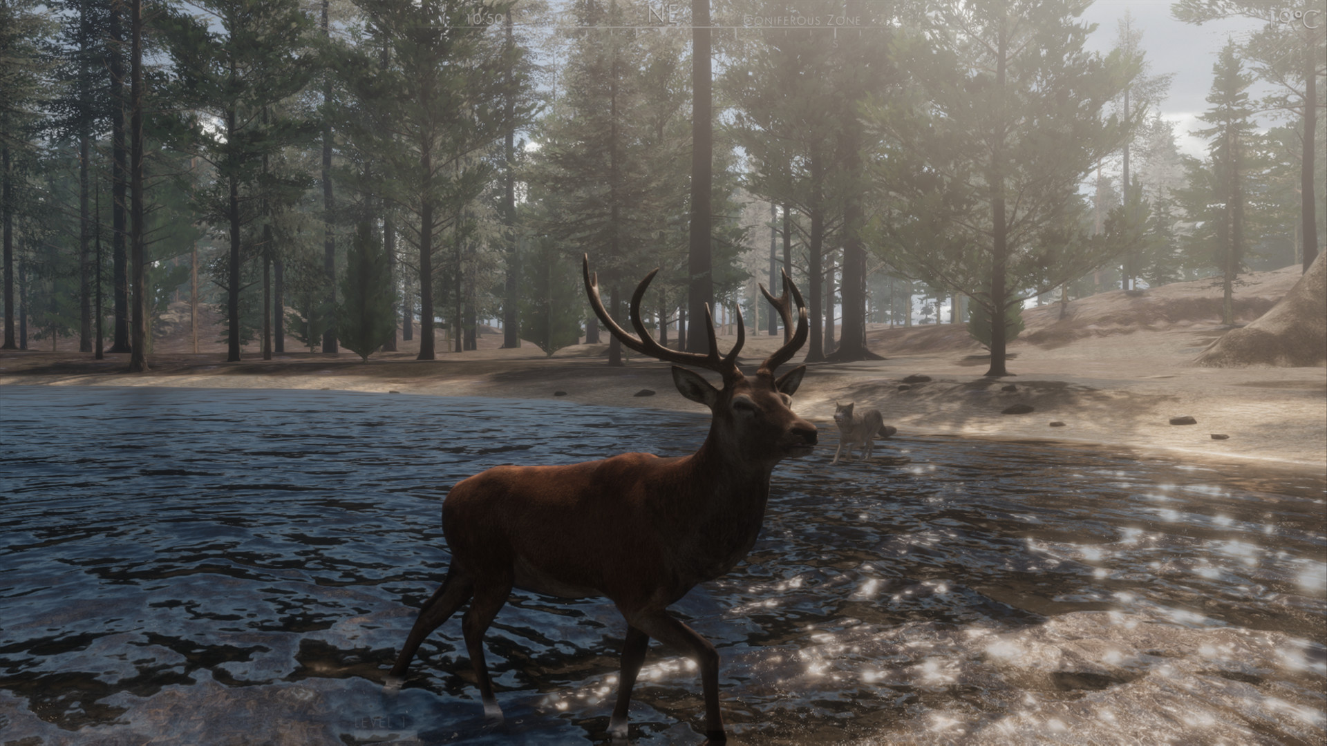 Wild game. Wild игра. The Wilds игра про животных. Wildlife Steam. Js Wilds.