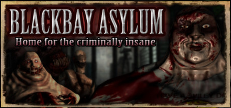 Blackbay Asylum  ( Steam Key / Region Free )