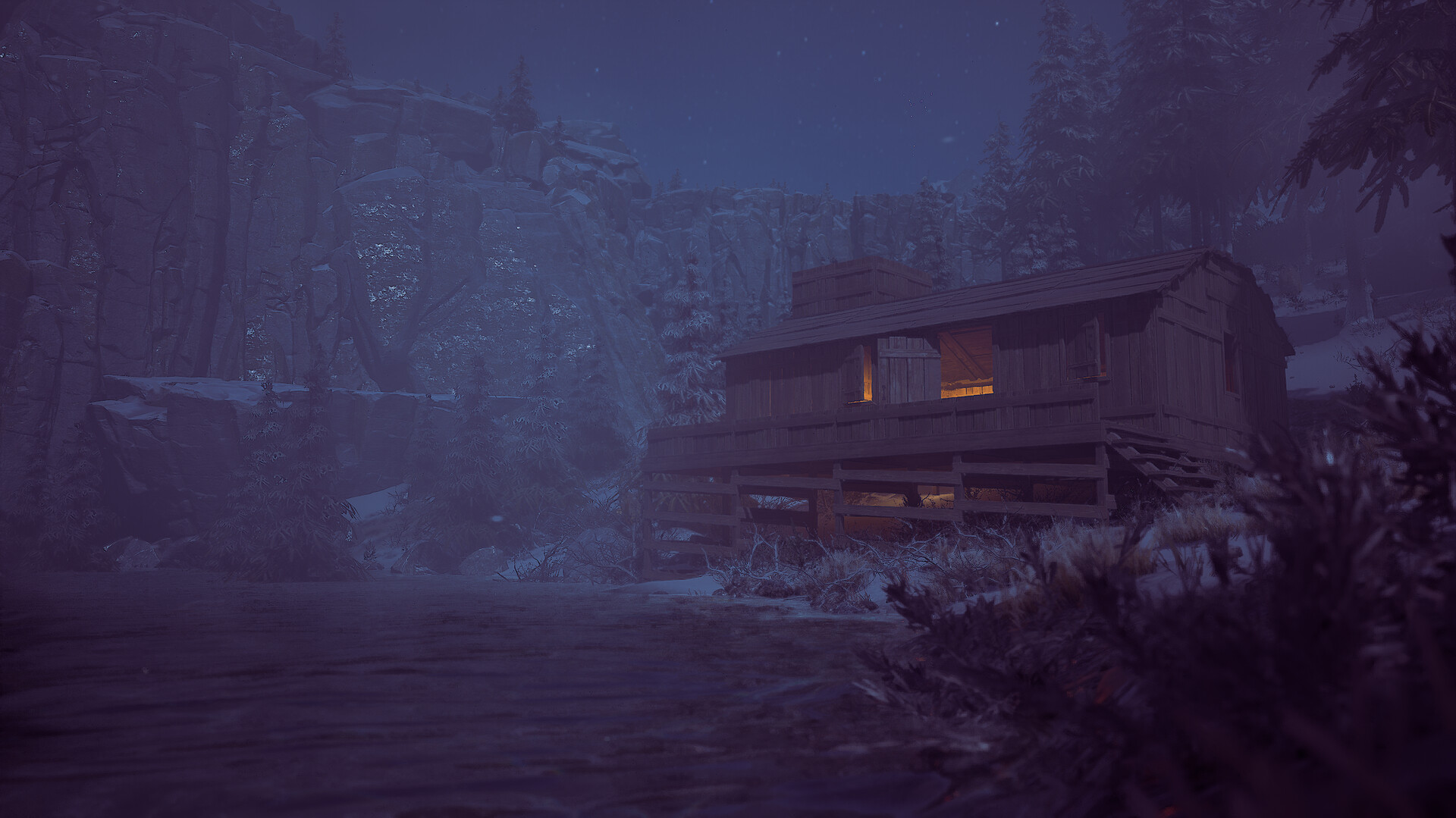 Winter survival early access