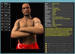 World of Mixed Martial Arts 3 * STEAM KEY REGION FREE