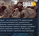 Squad * АВТОДОСТАВКА STEAM РОССИЯ