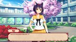 Sakura Shrine Girls * АВТОДОСТАВКА STEAM GIFT РОССИЯ