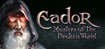 Eador: Masters of the Broken World * STEAM GIFT RU