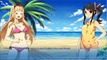 Sakura Beach * АВТОДОСТАВКА STEAM GIFT РОССИЯ