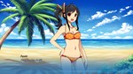 Sakura Beach 2 *АВТОДОСТАВКА STEAM GIFT РОССИЯ